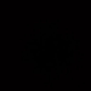 Meet your Posher, Leila